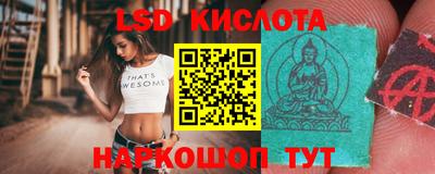 Альфа ПВП Гатчина