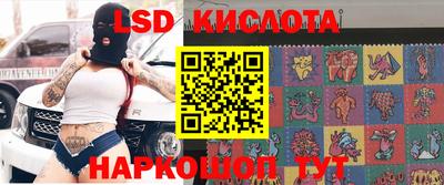 Альфа ПВП Гатчина