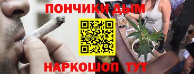 Альфа ПВП Гатчина