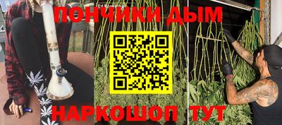 Альфа ПВП Гатчина