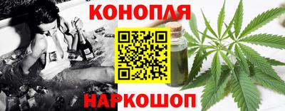Альфа ПВП Гатчина