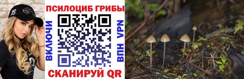 Галлюциногенные грибы мицелий Зеленодольск