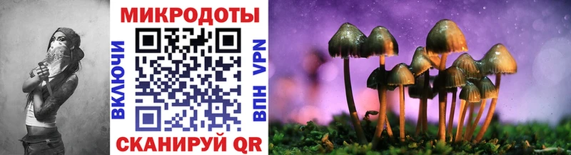 Псилоцибиновые грибы Cubensis  KRAKEN ссылка  Зеленодольск  наркота 