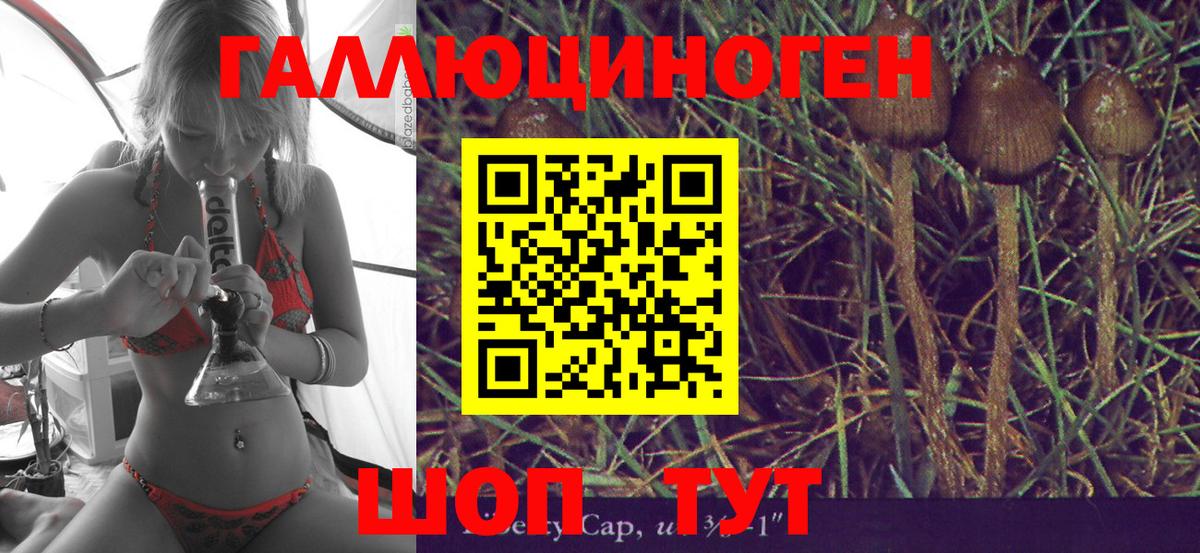 Галлюциногенные грибы Psilocybe  купить  цена  Зеленодольск 