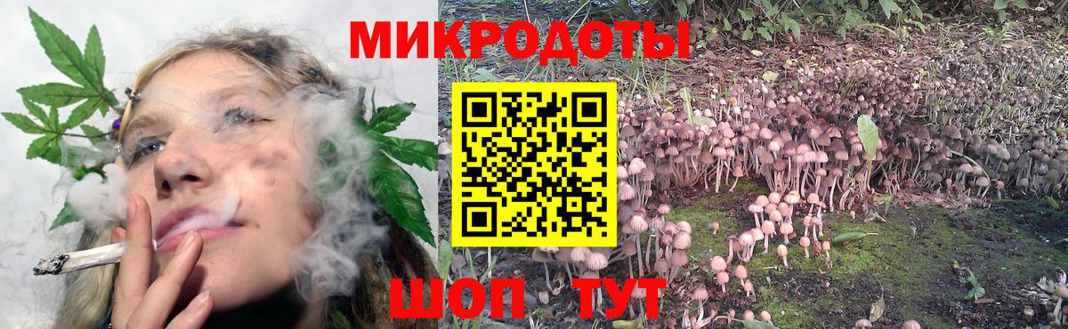 Зеленодольск  Галлюциногенные грибы Magic Shrooms  Вход с VPN 